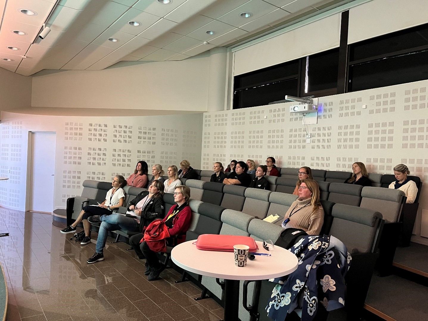Building the Future: Women Shaping Engineering Roles in the CAELESTIS Project