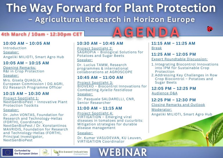 rtds plant projects
