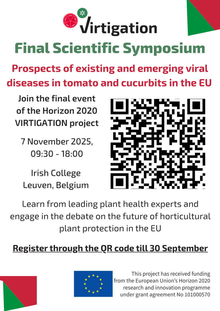 virtigation final event